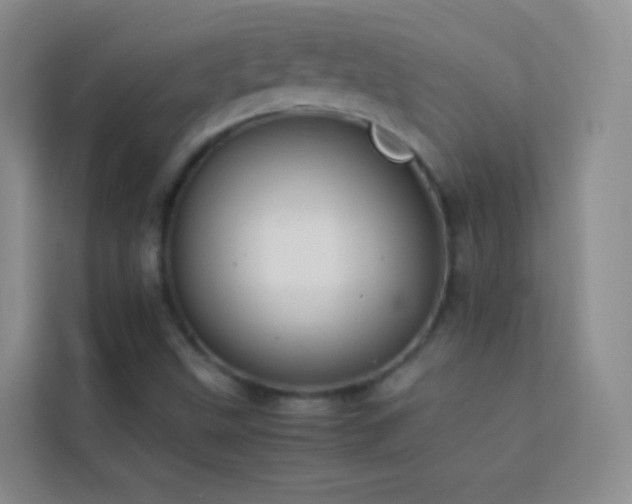 X0000114151499200910081322