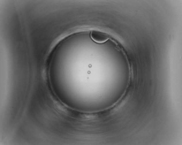 X0000114151501200910081322