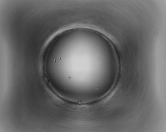 X0000114151502200910081322