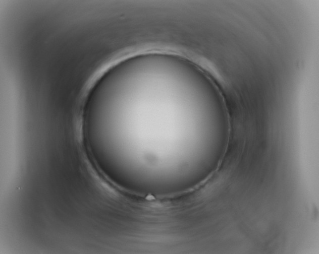 X0000114151504200910081322