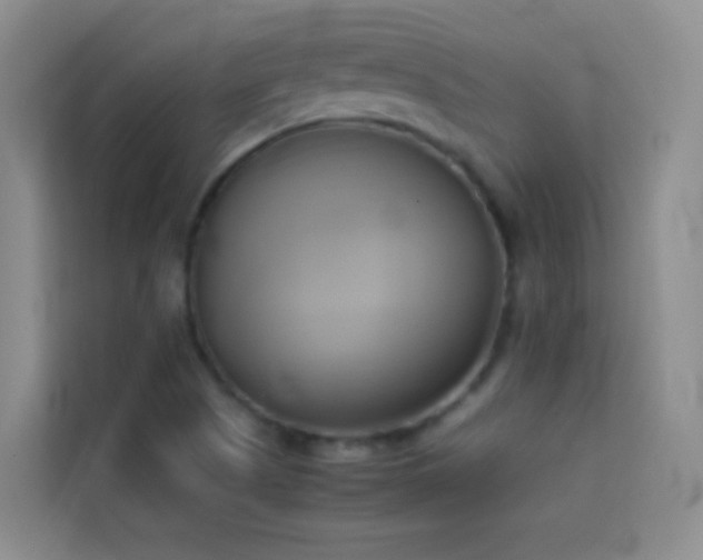X0000114151505200910081322