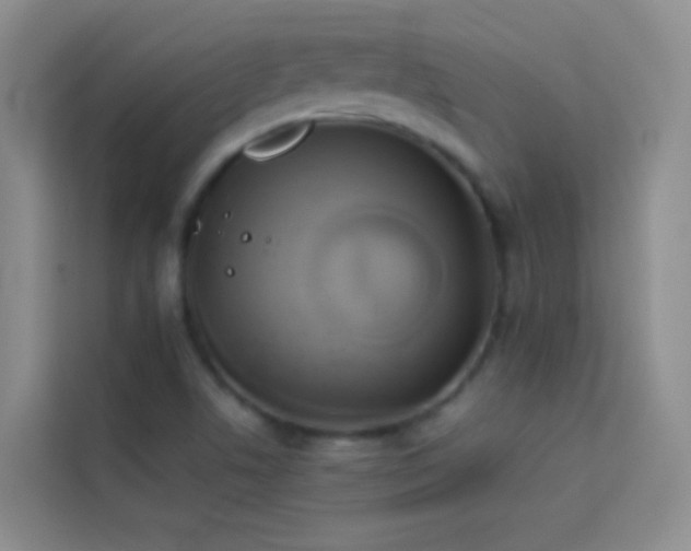 X0000114151506200910081322