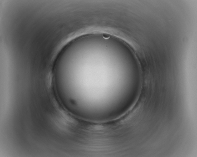 X0000114151507200910081322