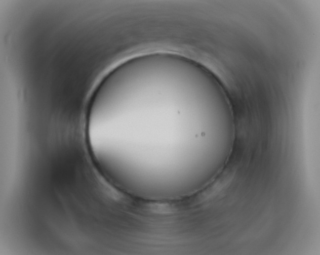 X0000114151508200910081322