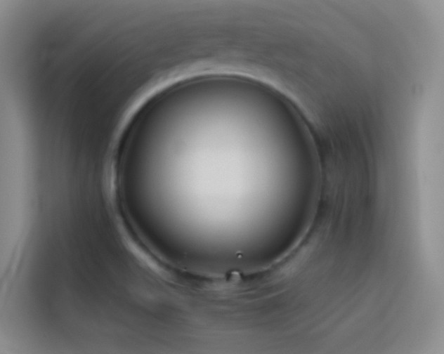 X0000114151511200910081322