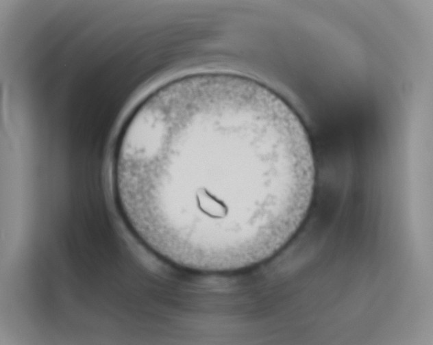 X0000114151514200910081322