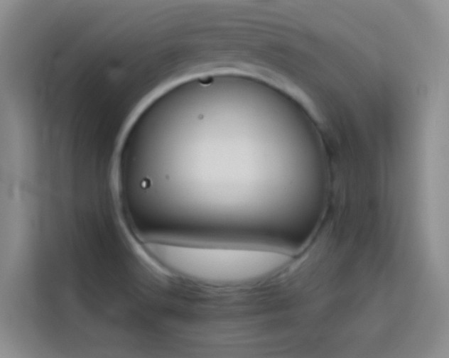 X0000114151516200910081322