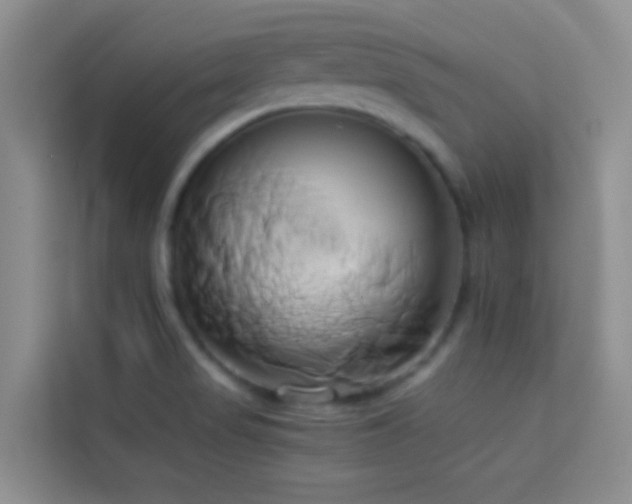 X0000114151517200910081322