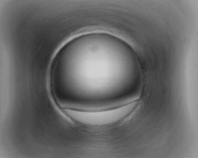 X0000114151518200910081323