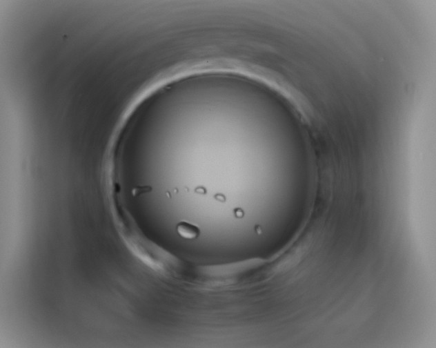 X0000114151519200910081323