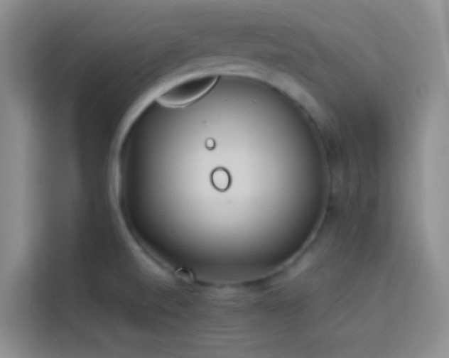 X0000114151520200910081323