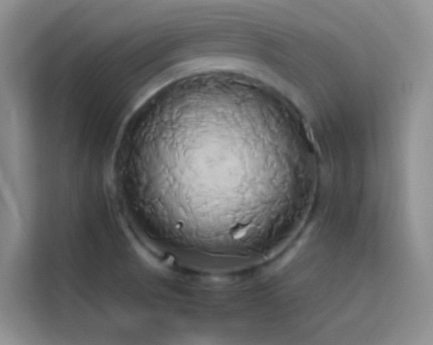 X0000114151521200910081323