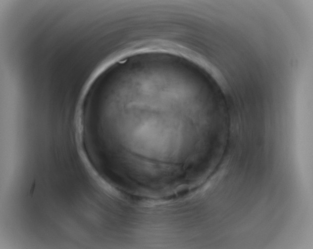 X0000114151522200910081323