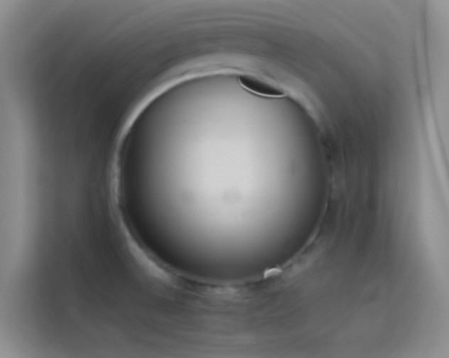 X0000114151524200910081323