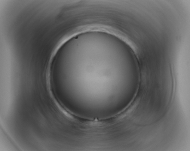X0000114151525200910081323