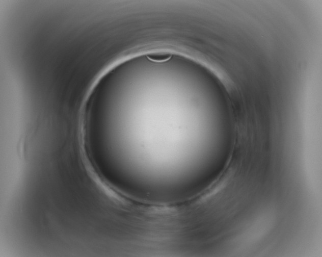 X0000114151526200910081323