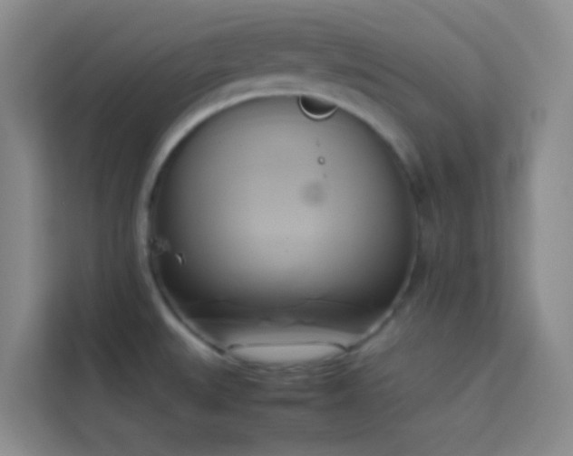 X0000114151527200910081323