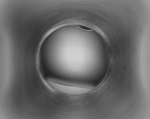 X0000114151528200910081323