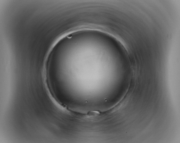 X0000114151531200910081323