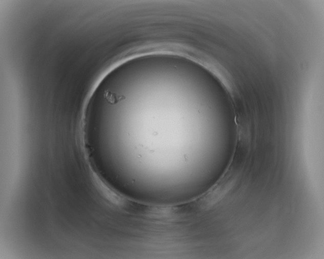 X0000114151532200910081323