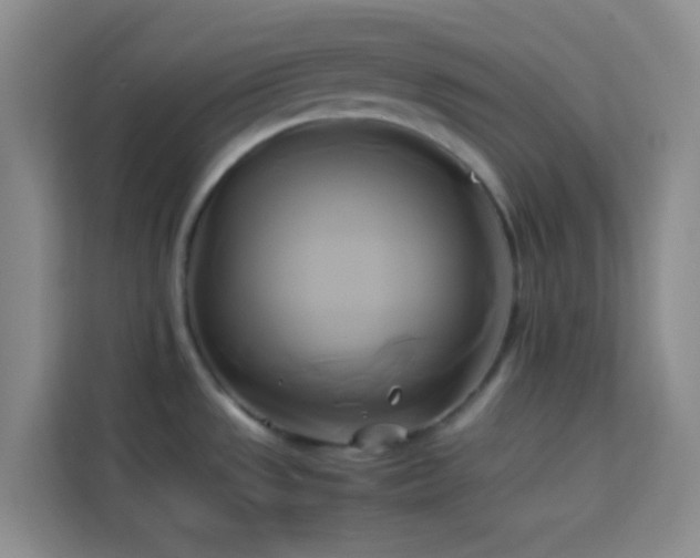 X0000114151533200910081323