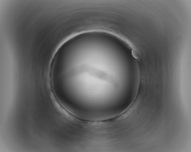 X0000114151534200910081323