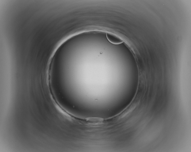 X0000114151535200910081323