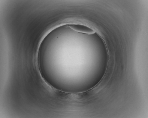 X0000114151536200910081323