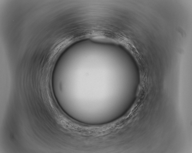 X0000114150001200910151554