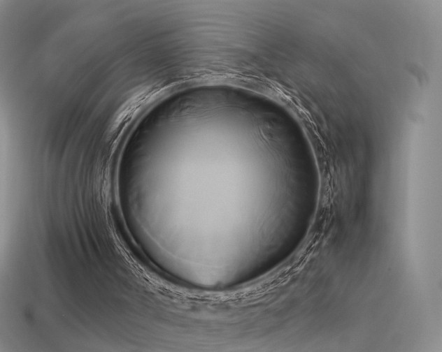 X0000114150002200910151554