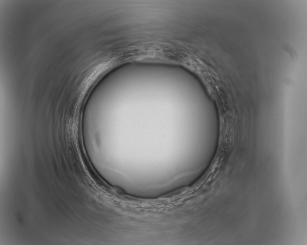 X0000114150003200910151554