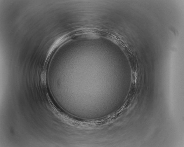 X0000114150004200910151554