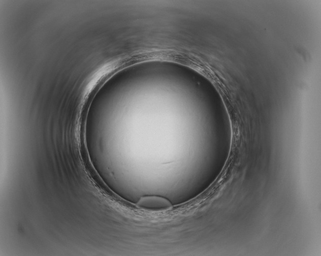 X0000114150006200910151554