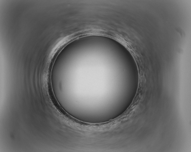 X0000114150007200910151554