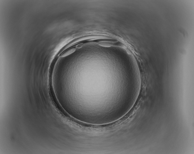 X0000114150008200910151554