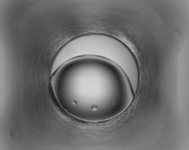 X0000114150009200910151554