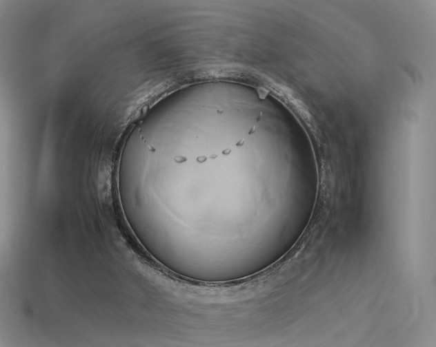 X0000114150010200910151554