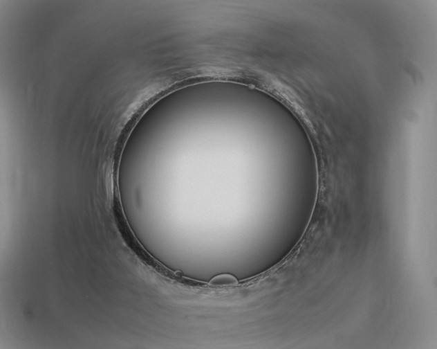 X0000114150011200910151554