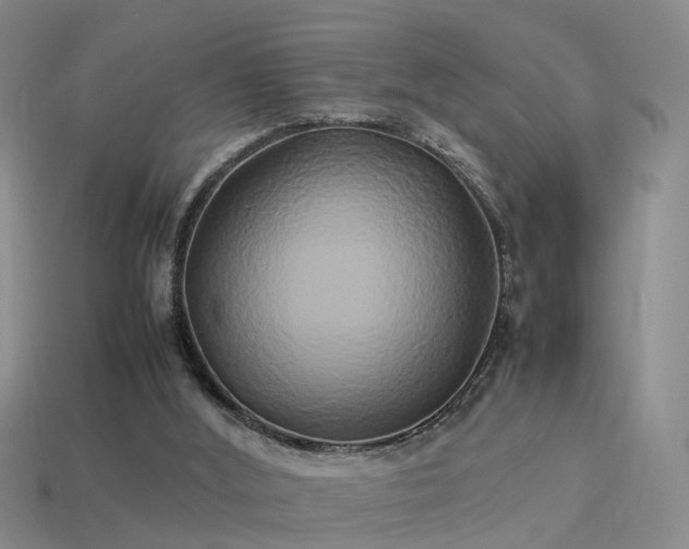 X0000114150012200910151554