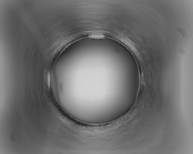 X0000114150013200910151554