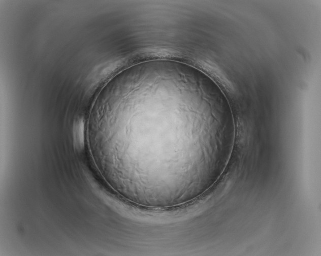 X0000114150014200910151554