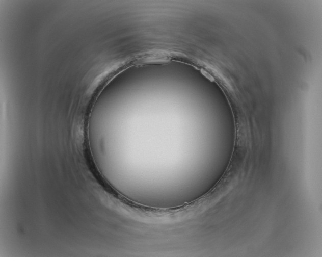 X0000114150015200910151554