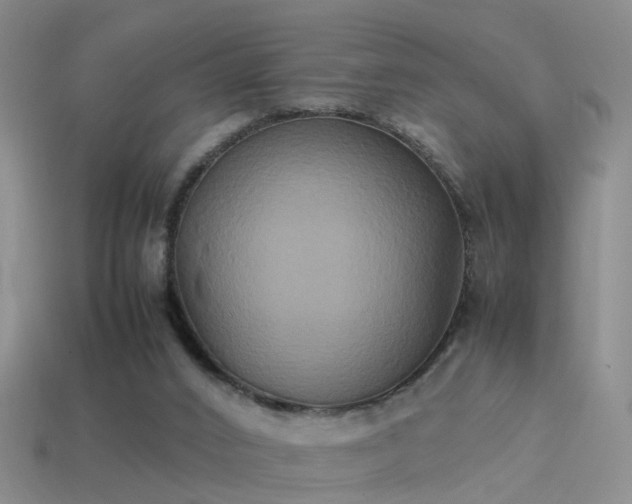 X0000114150016200910151554