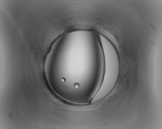 X0000114150017200910151554