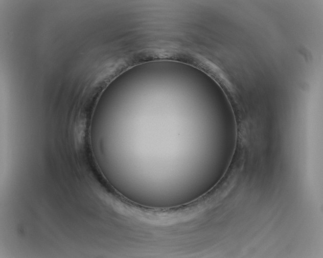 X0000114150018200910151554