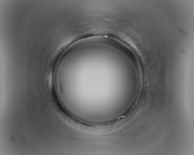 X0000114150019200910151554