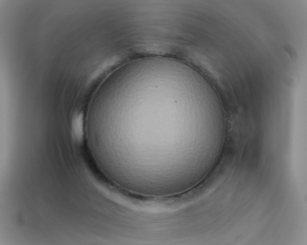 X0000114150020200910151554