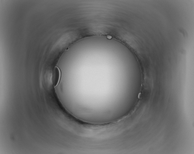 X0000114150021200910151554