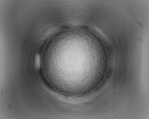 X0000114150022200910151554