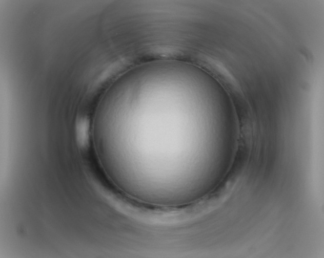 X0000114150024200910151554